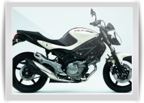Gladius 650