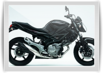 Gladius 650